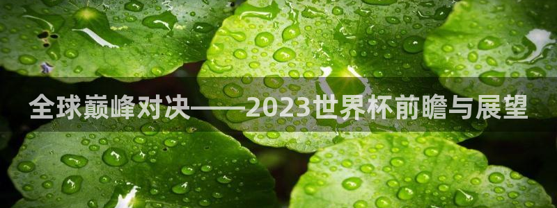 世界杯赛程表:全球巅峰对决——2023世界杯前瞻与展望