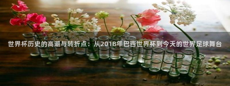 2026世界杯倒计时:世界杯历史的高潮与转折点:从2018年巴西世界杯到今天的世界足球舞台