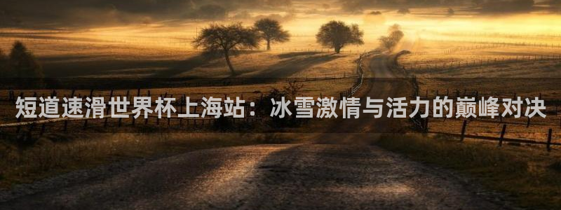 世界杯2026赛程:短道速滑世界杯上海站:冰雪激情与活力的巅峰对决