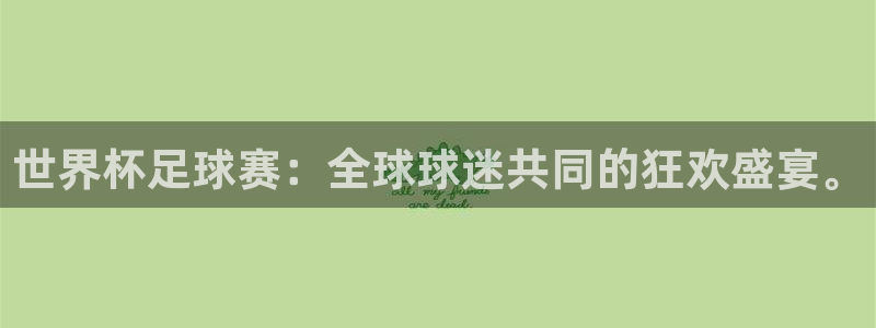 足球杯:世界杯足球赛:全球球迷共同的狂欢盛宴。