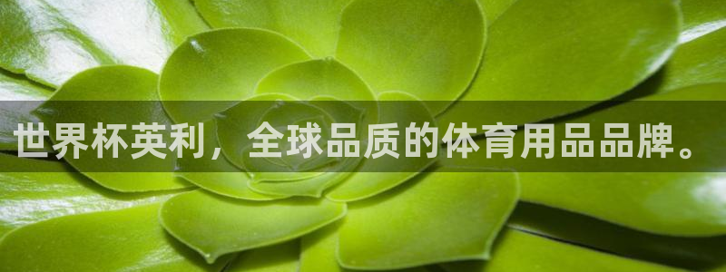 世界杯足球直播:世界杯英利,全球品质的体育用品品牌。