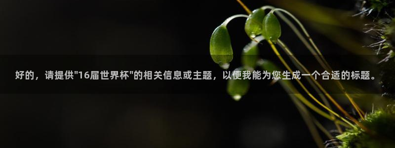 世界杯葡萄牙赛程:好的,请提供\