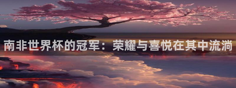 国际足联世界杯:南非世界杯的冠军:荣耀与喜悦在其中流淌